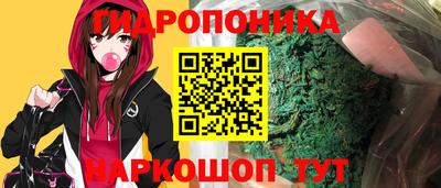шишки Гатчина