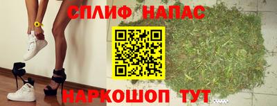 шишки Гатчина