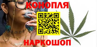 прущие крисы Гай
