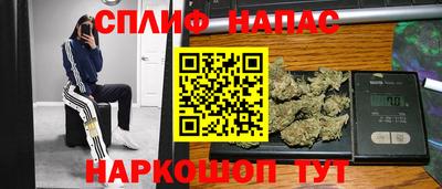 шишки Гатчина